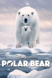 Niedźwiedzica polarna